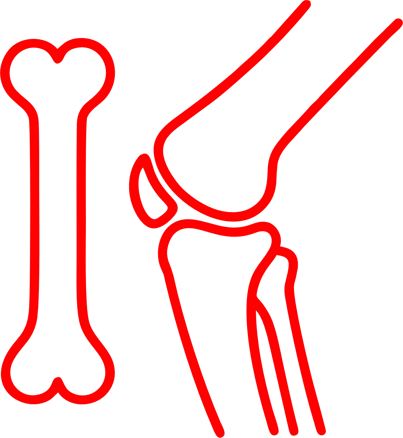 rehabilitacja i leczenie bólu Ortopedia